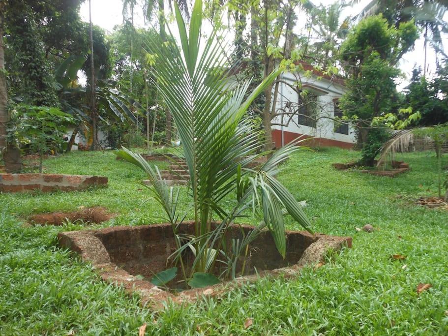 Runnin Airport - Homestay Gurpur ภายนอก รูปภาพ