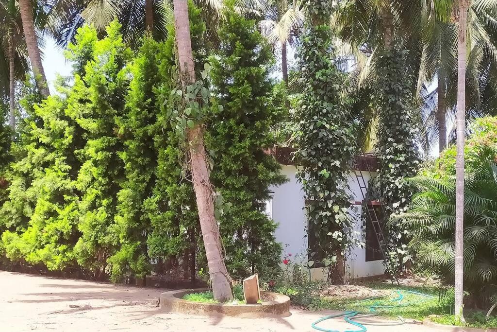Runnin Airport - Homestay Gurpur ภายนอก รูปภาพ