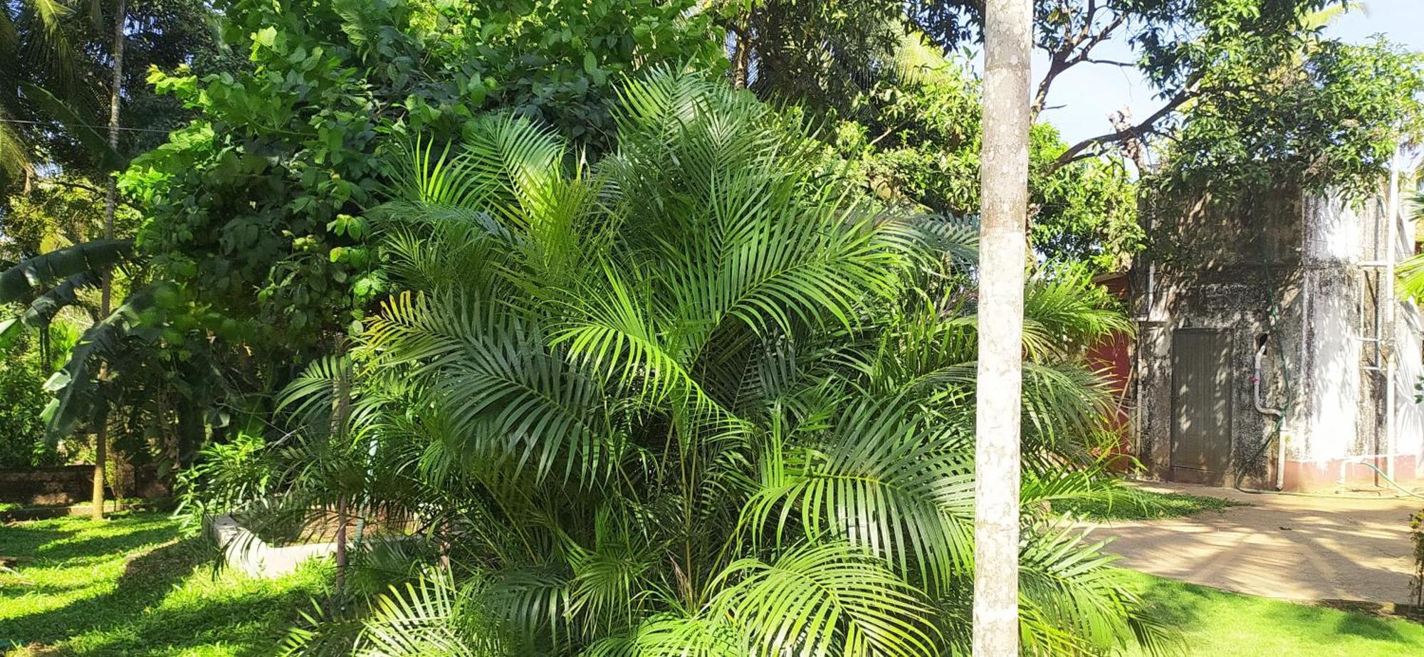 Runnin Airport - Homestay Gurpur ภายนอก รูปภาพ